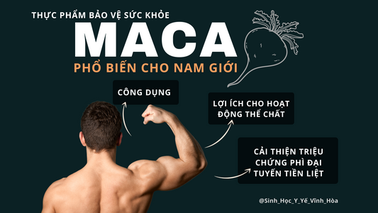 Maca là gì ? Vì sao nó được xem là thực phẩm bảo vệ sức khỏe phổ biến cho nam giới ?