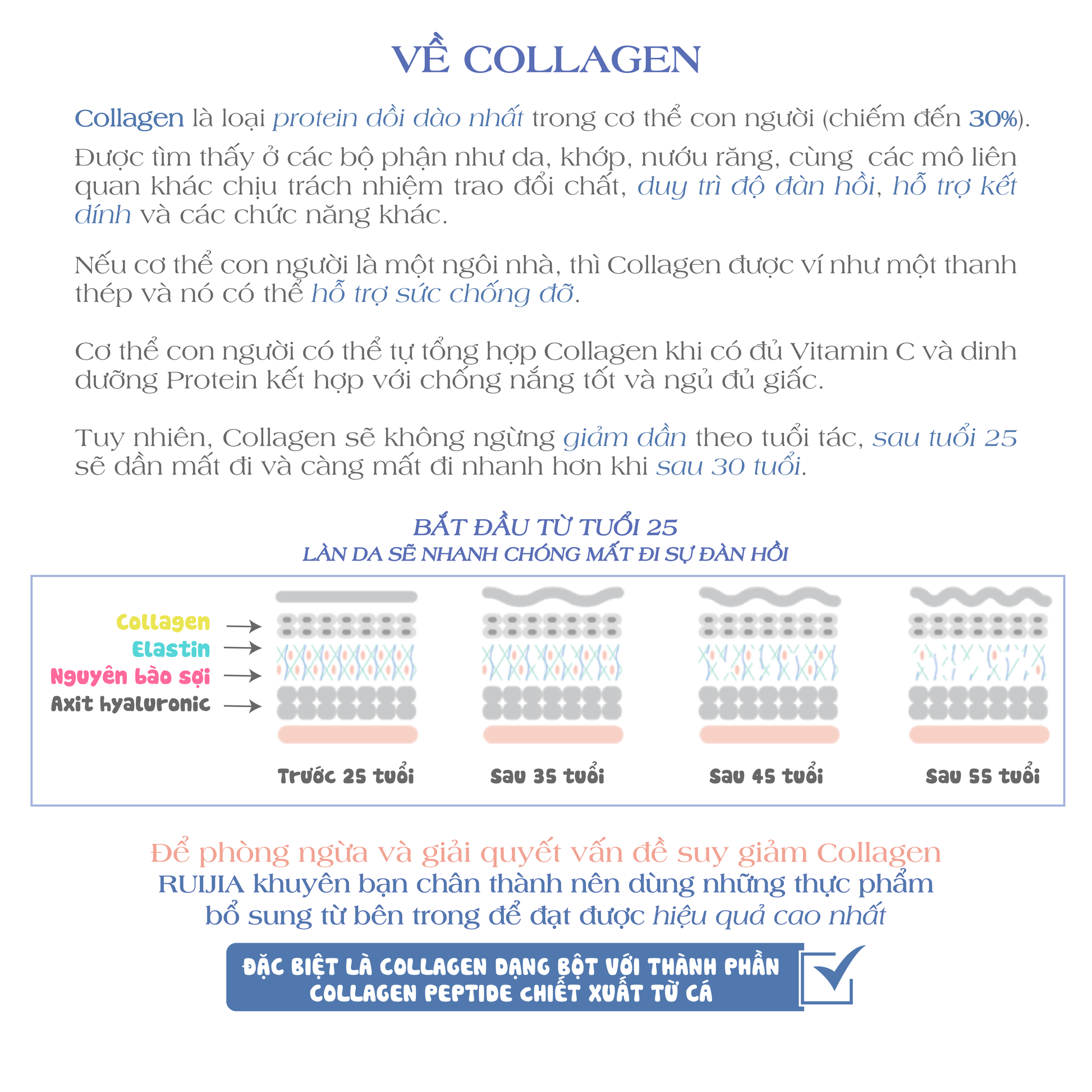 Vĩnh Hòa Health & Beauty_Bột Collagen Peptide Sữa Ong Chúa_7 Ngày_8